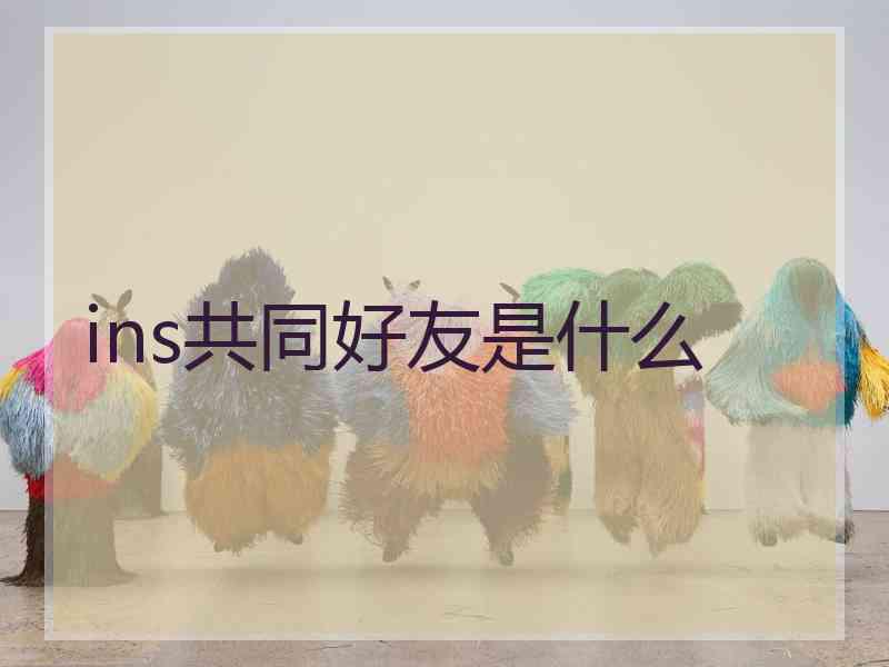 ins共同好友是什么