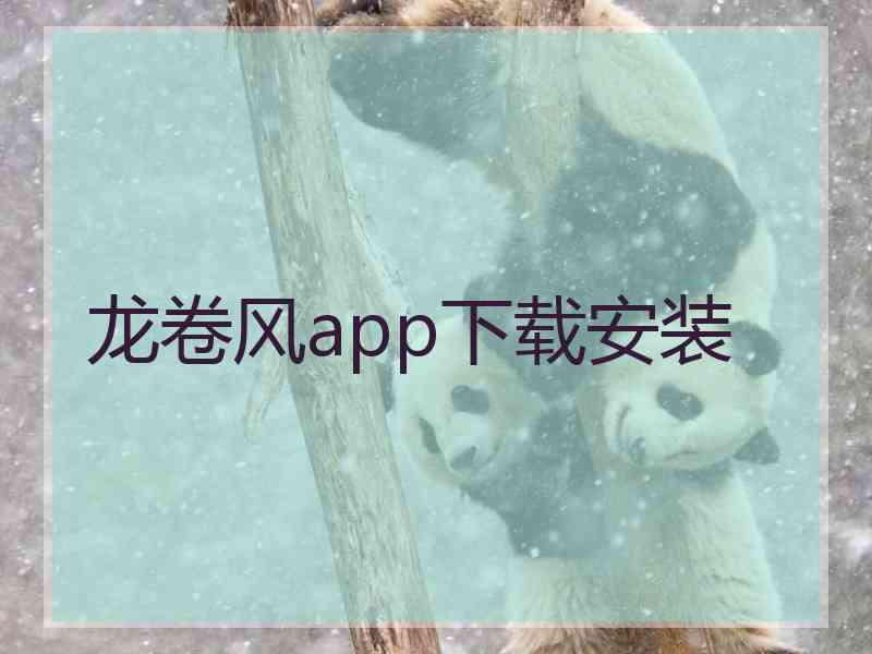 龙卷风app下载安装