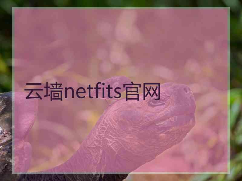 云墙netfits官网