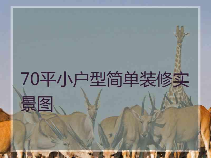 70平小户型简单装修实景图