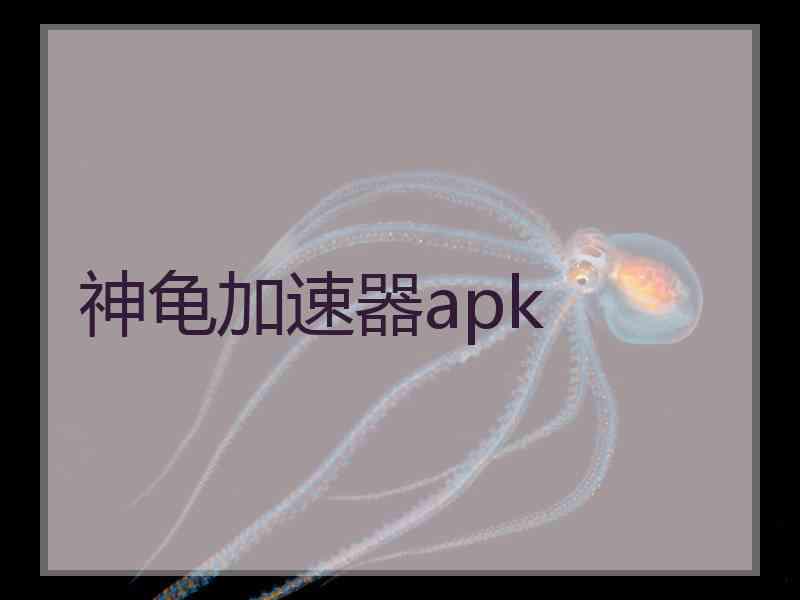 神龟加速器apk