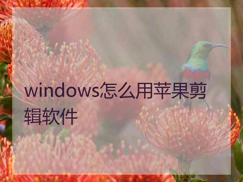 windows怎么用苹果剪辑软件