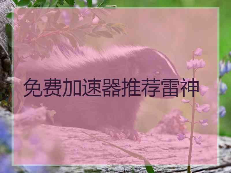 免费加速器推荐雷神