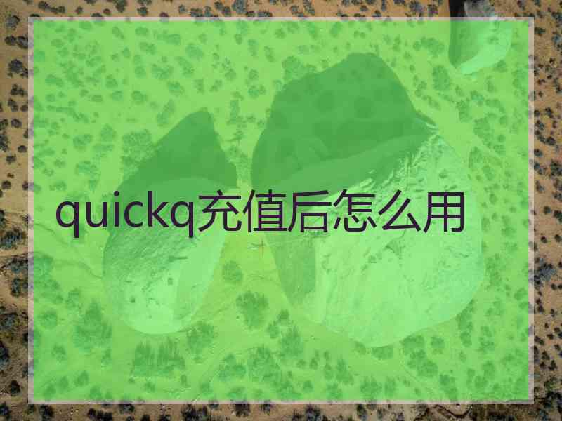 quickq充值后怎么用