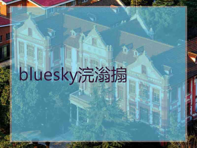 bluesky浣滃搧