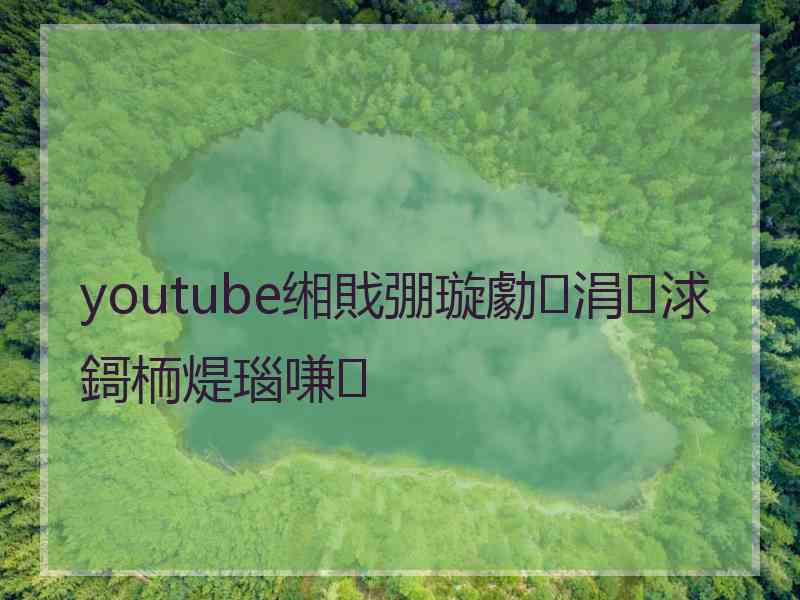 youtube缃戝弸璇勮涓浗鎶栭煶瑙嗛