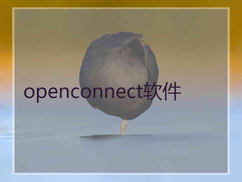 openconnect软件