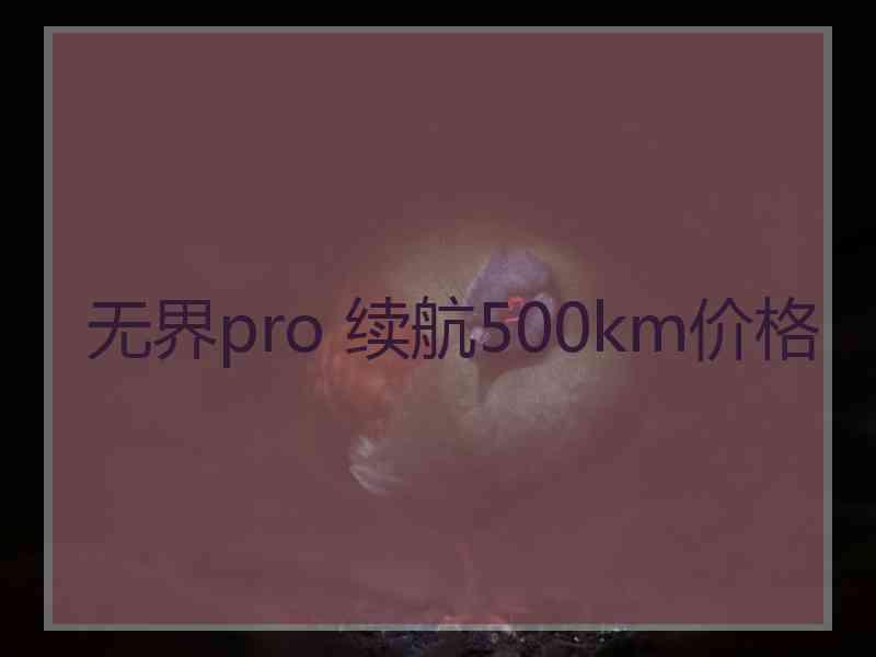 无界pro 续航500km价格