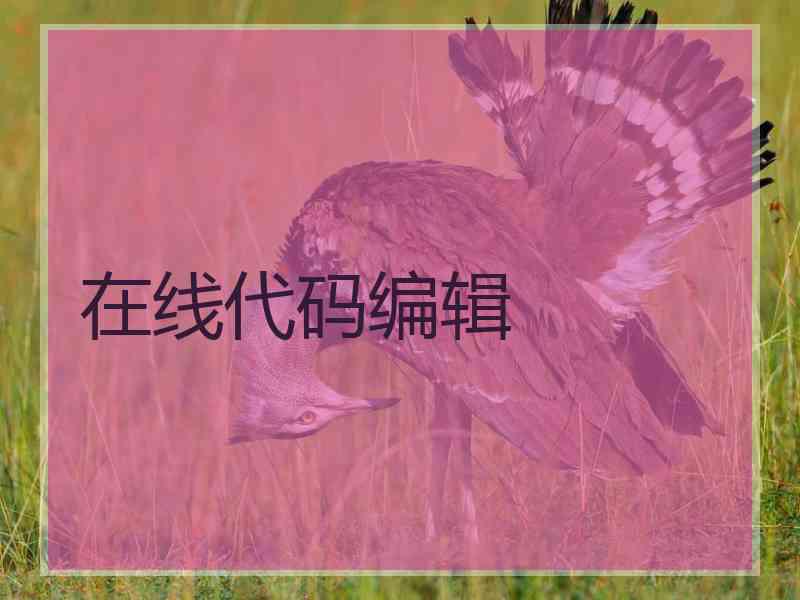 在线代码编辑