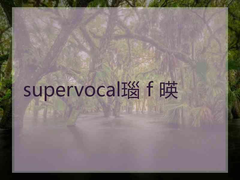 supervocal瑙ｆ暎