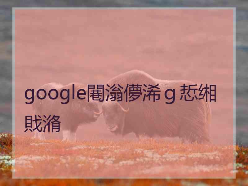 google闀滃儚浠ｇ悊缃戝潃