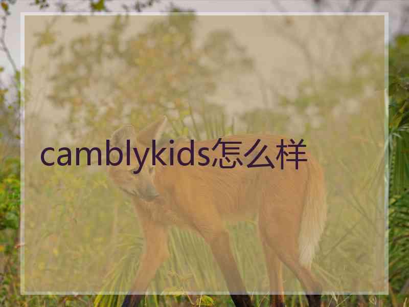 camblykids怎么样