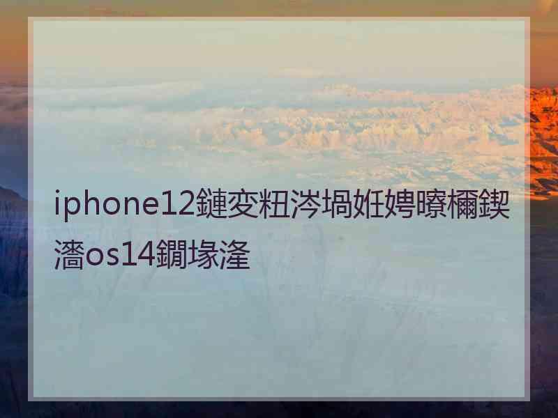 iphone12鏈変粈涔堝姙娉曢檷鍥瀒os14鐗堟湰