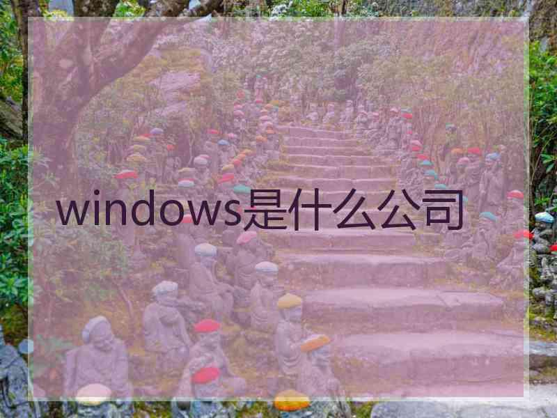 windows是什么公司