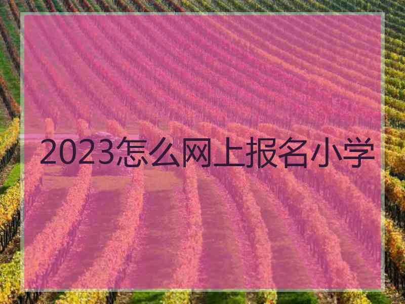 2023怎么网上报名小学