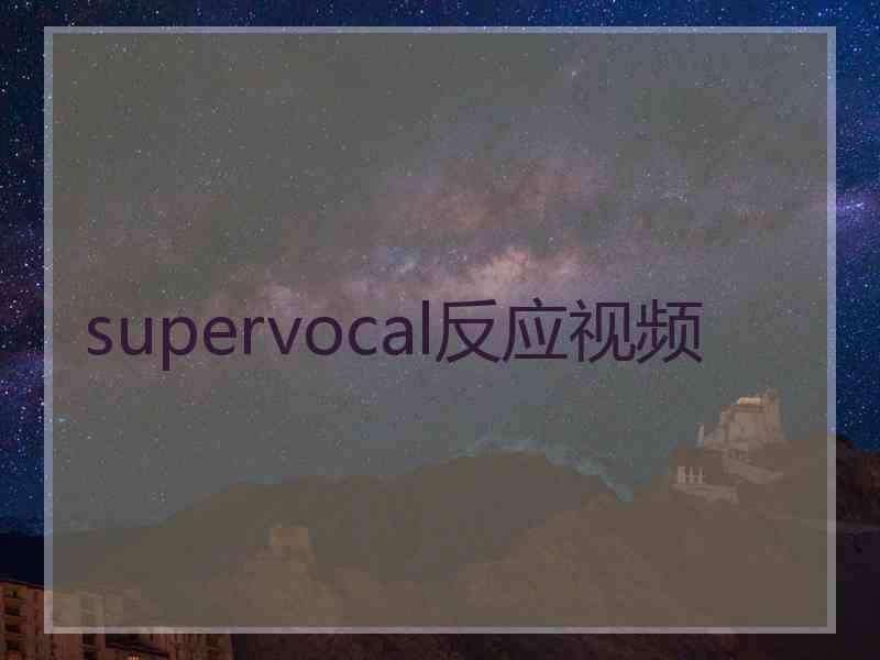 supervocal反应视频