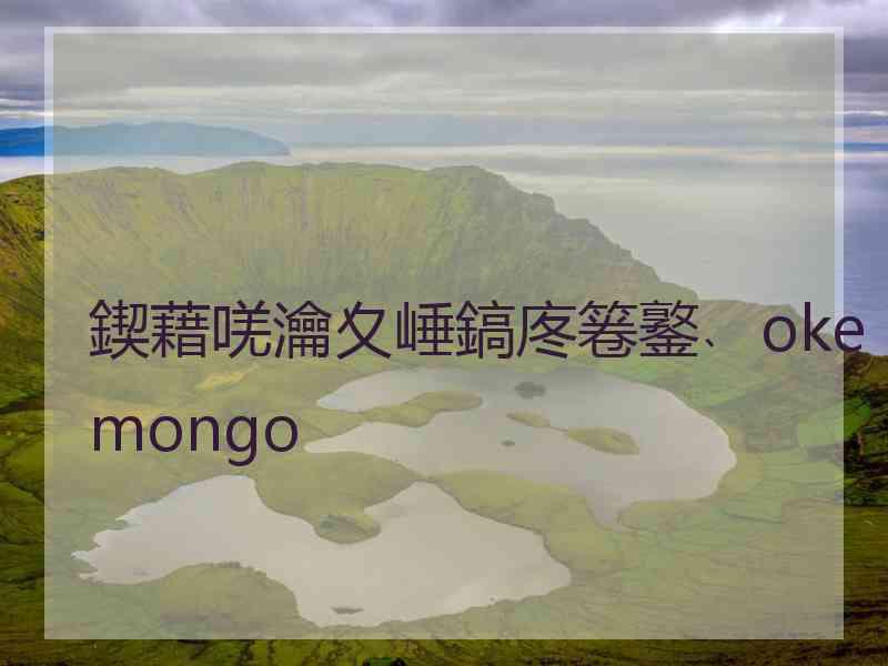 鍥藉唴瀹夊崜鎬庝箞鐜﹑okemongo