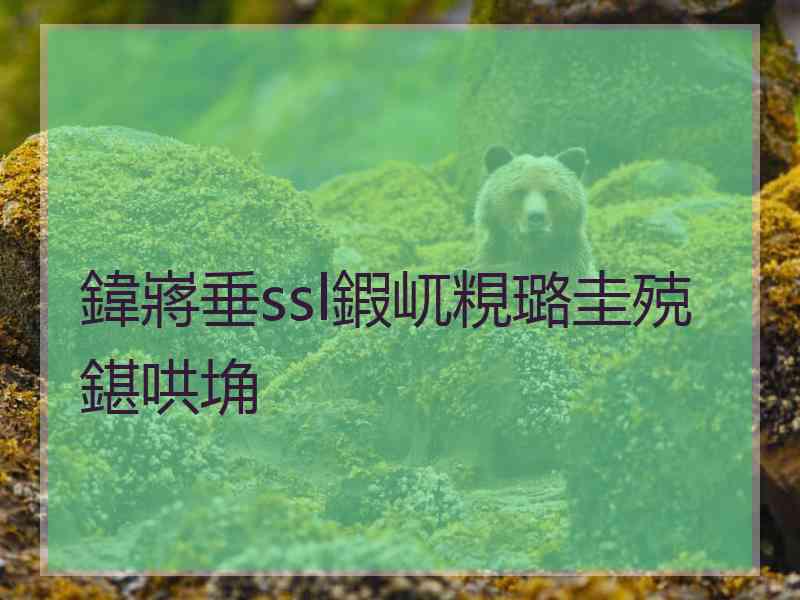 鍏嶈垂ssl鍜屼粯璐圭殑鍖哄埆