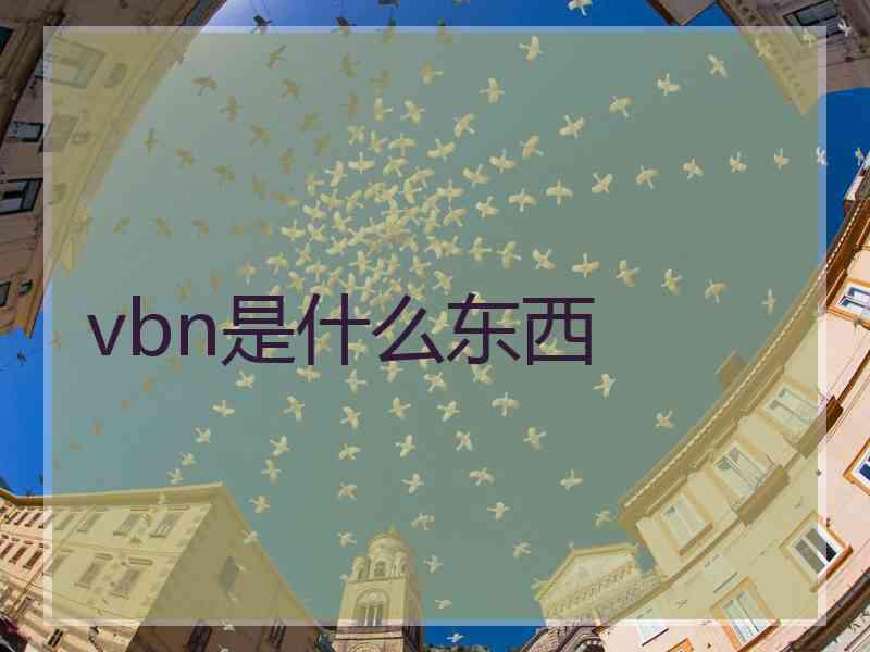 vbn是什么东西