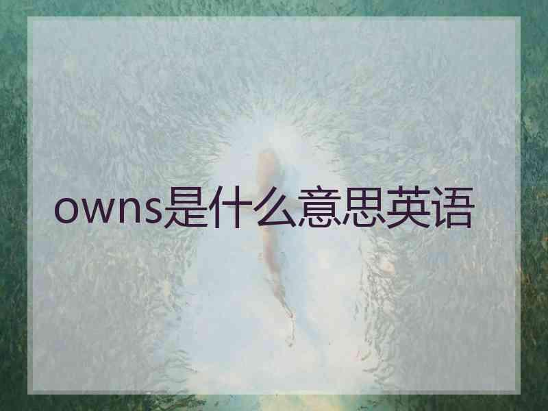 owns是什么意思英语