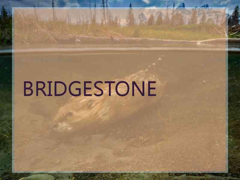 BRIDGESTONE