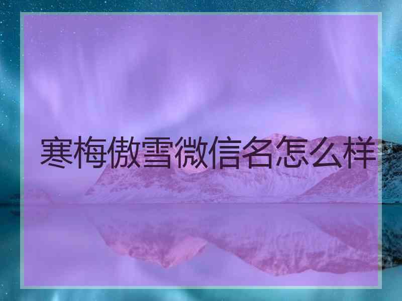 寒梅傲雪微信名怎么样