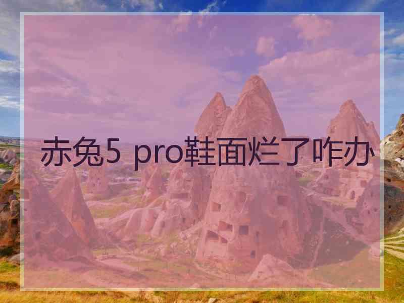 赤兔5 pro鞋面烂了咋办