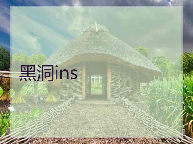 黑洞ins