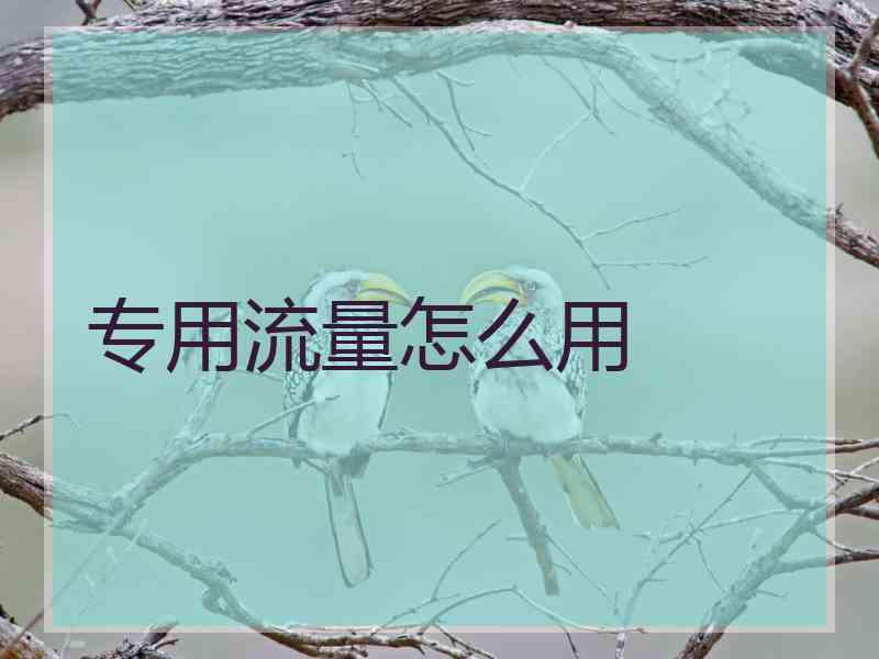 专用流量怎么用