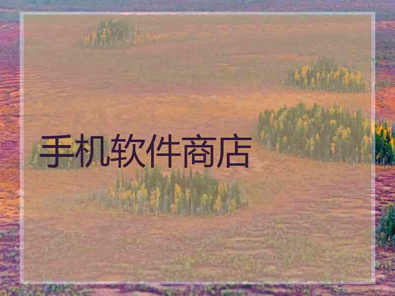 手机软件商店