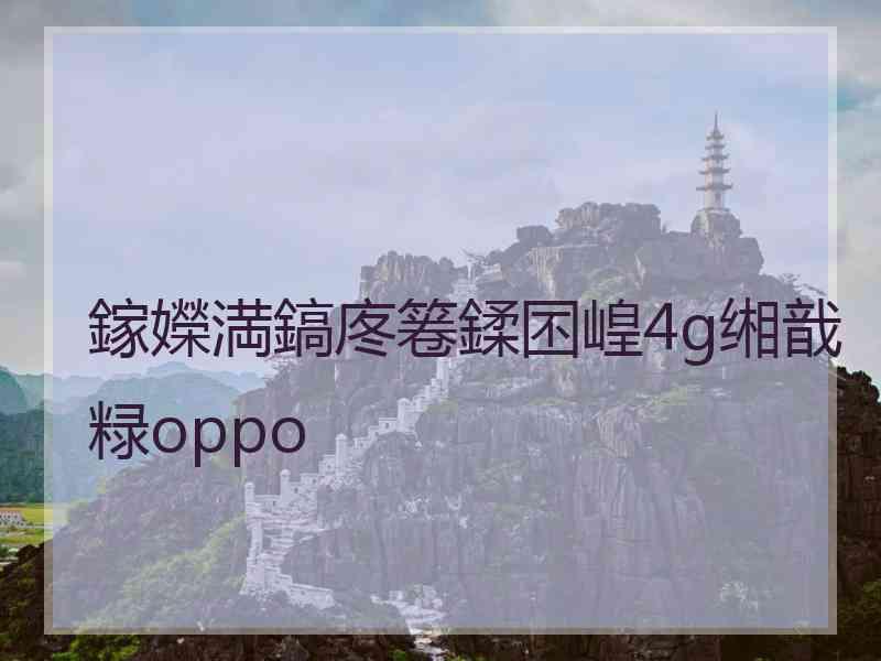 鎵嬫満鎬庝箞鍒囨崲4g缃戠粶oppo