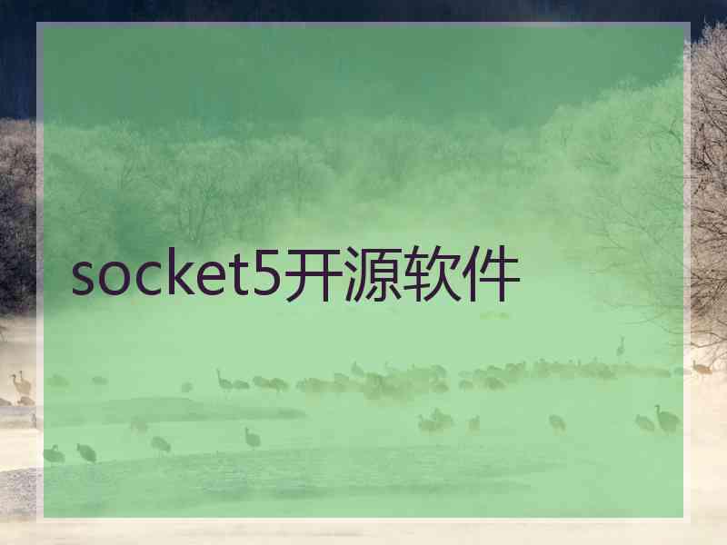 socket5开源软件