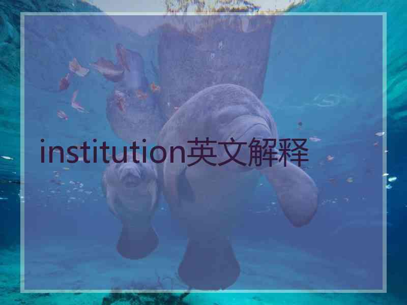 institution英文解释