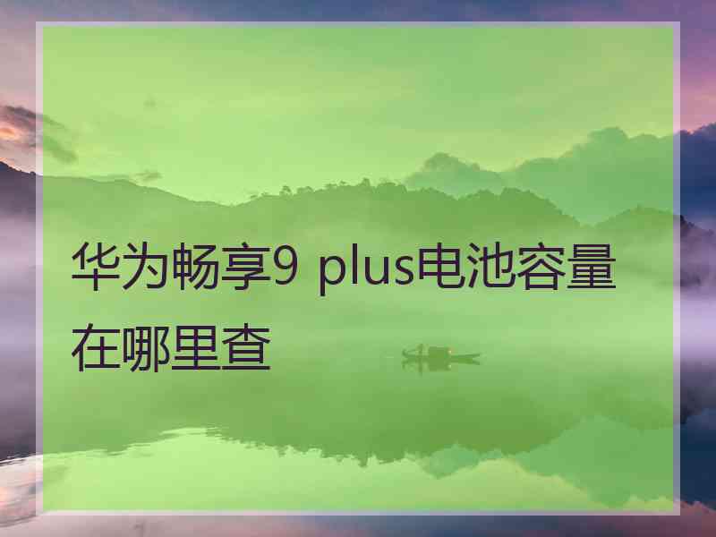 华为畅享9 plus电池容量在哪里查