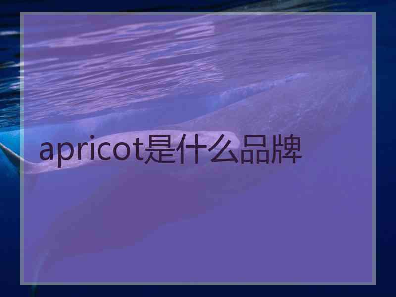 apricot是什么品牌