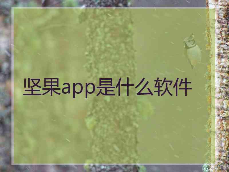 坚果app是什么软件