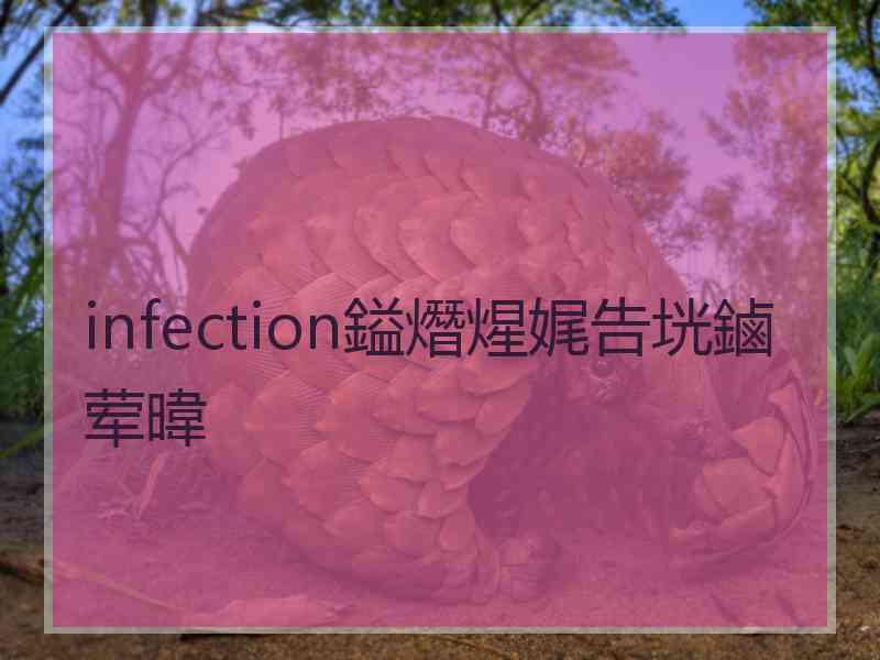 infection鎰熸煋娓告垙鏀荤暐