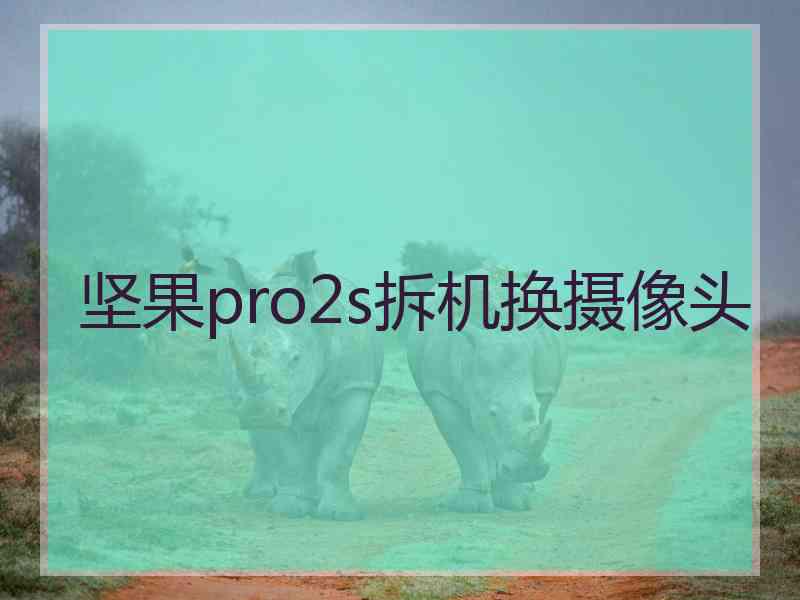 坚果pro2s拆机换摄像头